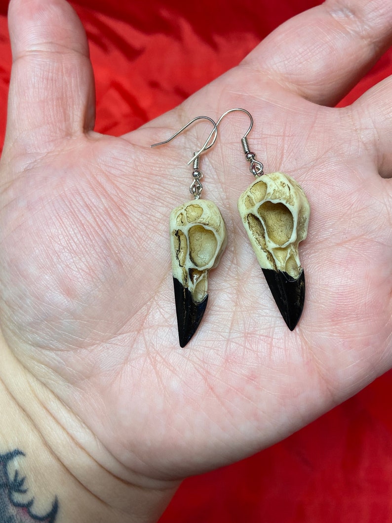 Witchy Bird Skull Earrings image 3