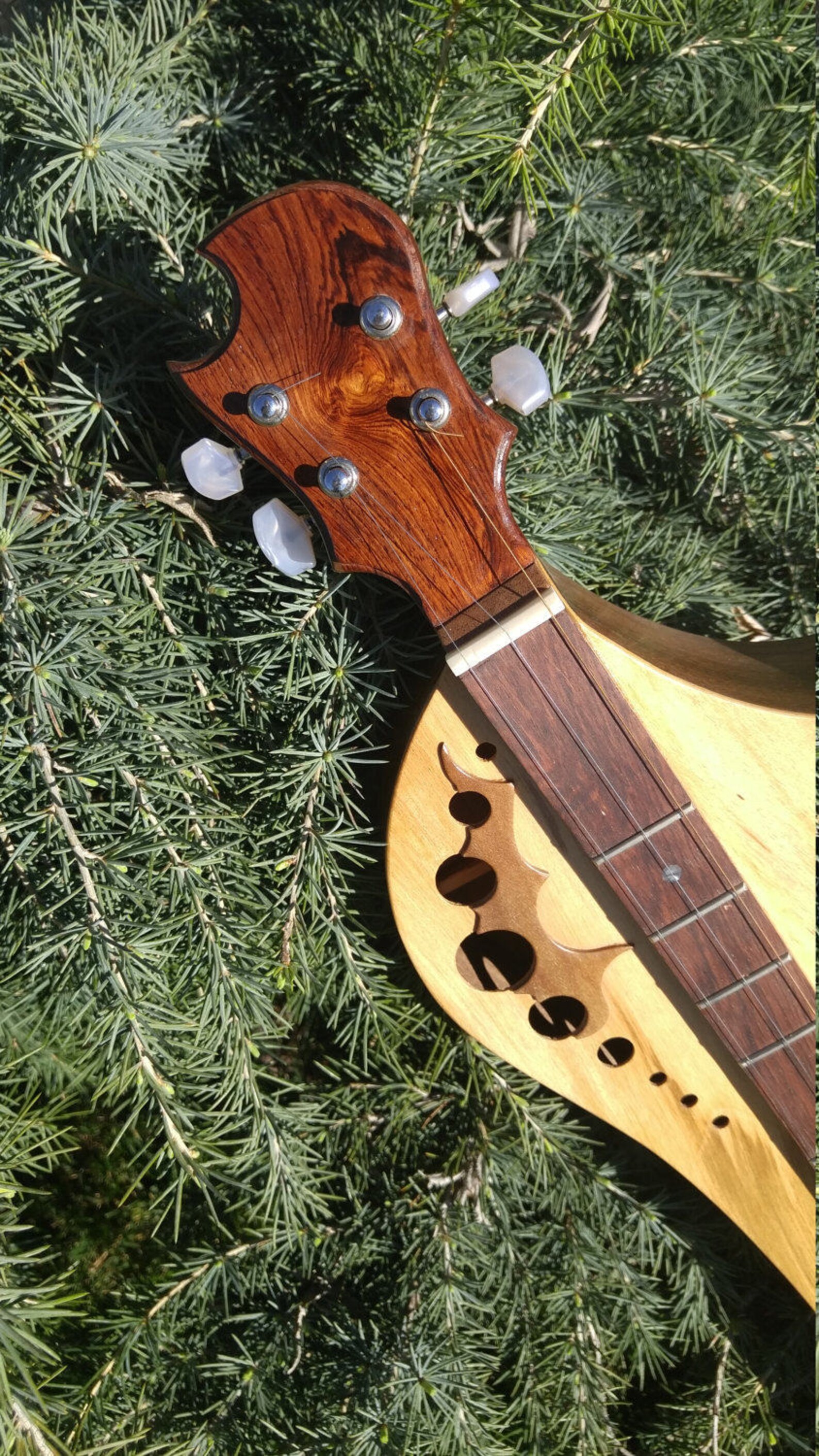 Kurviga Mountain Dulcimer. 3 to 4 string lap dulcimer with Etsy