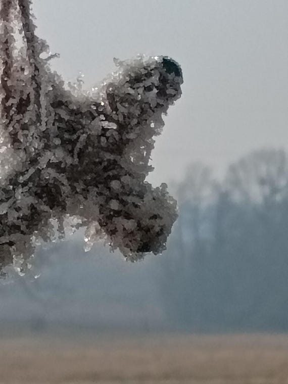 Dustines Legitimately Blessed  Trial l: Tar Water Conversion #2