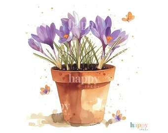10 Crocus Clipart Bundle - Printable Watercolour Clipart - Crocus Flowers in Terracotta Pots - Digital Download for Card Making, Sublimation