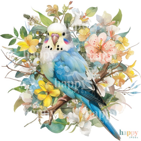 10 Cute Budgie Clipart Bundle - Colourful Budgie Clip Art - Cute Bird JPEGs - Flowers Clip Art - Budgerigar Clipart - Budgie Sublimation