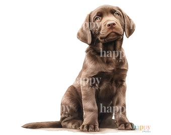 10 Cute Chocolate Labrador Puppies Clipart Set - Dog Clipart - Watercolour Clipart Bundle - Labrador Clipart - Sublimation Design