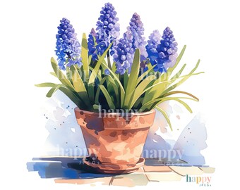 10 Hyacinth Clipart Bundle - Hyacinth in a Terracotta Pot Clipart - Gardening Clipart - Printable Watercolour - Spring Flower Clipart