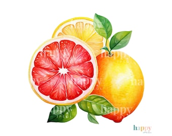 10 Citrus Fruit Clipart Set - Printable Watercolour Clipart - JPEG Clipart Bundle - Lemon Clipart - Lime Clipart - Orange Clipart