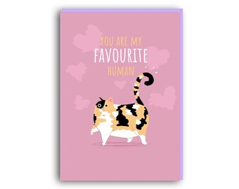 Funny Valentines Card, Valentine's Card, From the cat, gift for him, gift for her,  valentines day gift,  valentines day cards, cat card