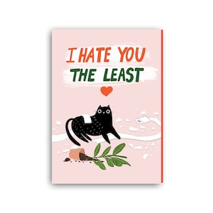 Carte de Saint-Valentin drôle, carte d'anniversaire drôle, carte d'anniversaire de chat, cartes de Saint-Valentin, carte de Saint-Valentin de chat, je te déteste le moins, mari