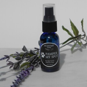 Dog, Hot Spots, Oil, Essential Oils, Allergies, Skin, Healing, Itchy Skin, Aromatherapy, Treatment, Pamper My Spot