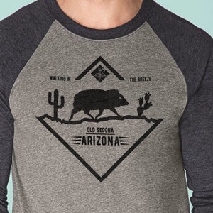 Pixies &#39;Havalina&#39; Triblend Raglan Shirt: Indie Rocker Style