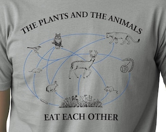 Camiseta de Modest Mouse: Ecuación matemática sin fin, camiseta de banda de rock indie
