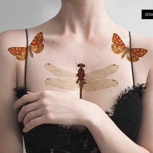 Vintage Insects Bugs Temporary Tattoo Temp Tat Illustration Botanical Matching Pairs Dragonfly Moth Butterfly Bee Beetle Nature Hipster