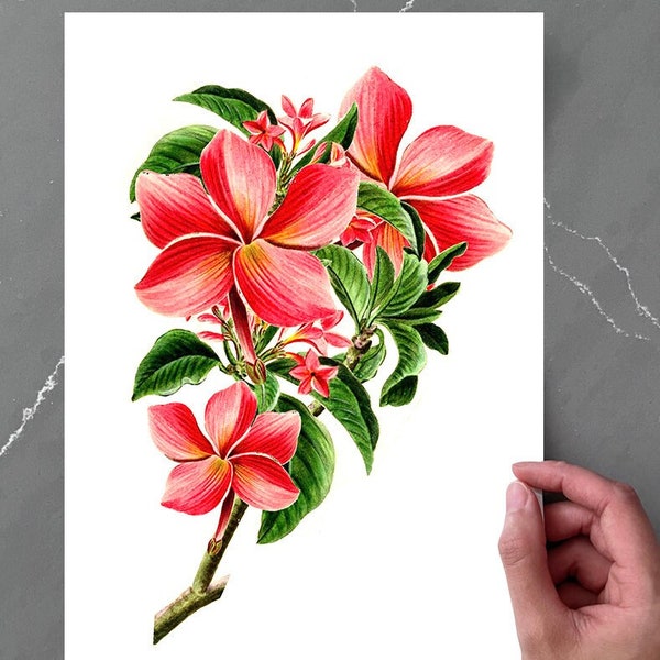 A4 PRINTABLE Temporary Floral Tattoo Large Digital Download Plumeria Tropical Paradise Botanical DIY