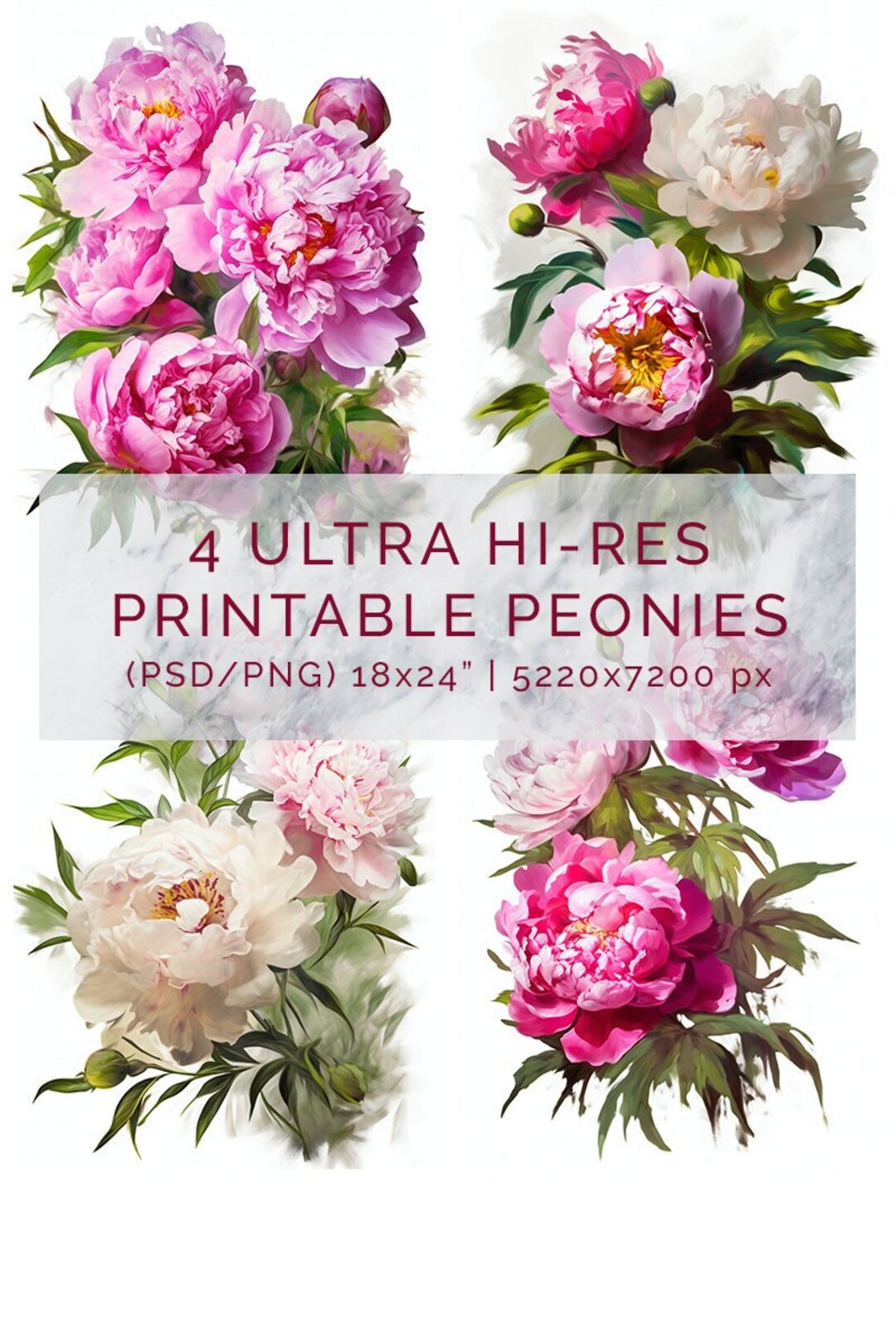 Digital Floral Peonies Art Ultra High Res Large Printable Peony Clipart Bulk Peonies Printable ...