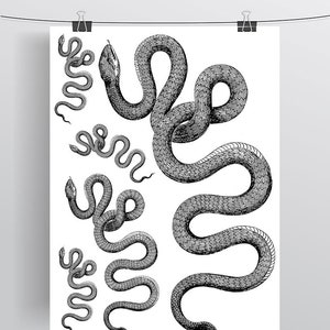 Vintage Snake Illustration Linework Temporary Tattoo Large Black and White DIY