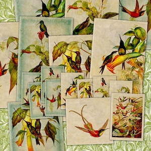 Instant Download Printable Vintage Hummingbirds Junk Journal Ephemera | Scrapbook Paper | Retro Bird Graphics | Crafting Images