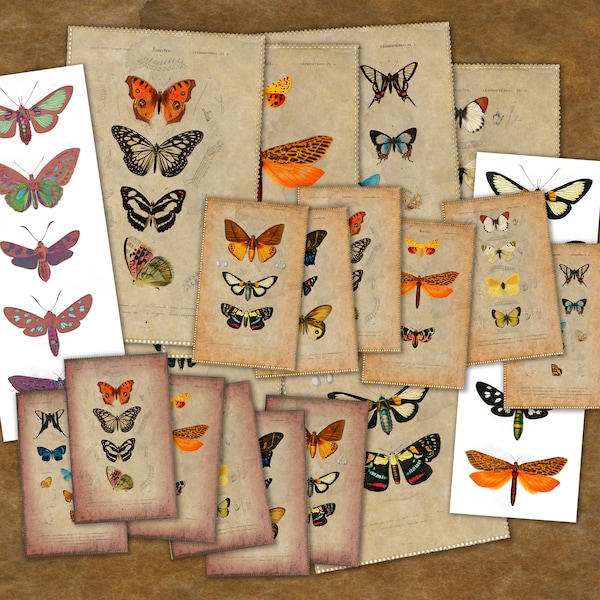 Instant Download Vintage Butterflies Junk Journal Printables | Butterfly and Moth Scrapbooking Paper | Retro Wing Graphics