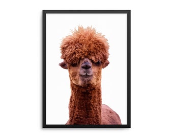 Grappige Lama Poster - minimalistische dierenmuurkunst