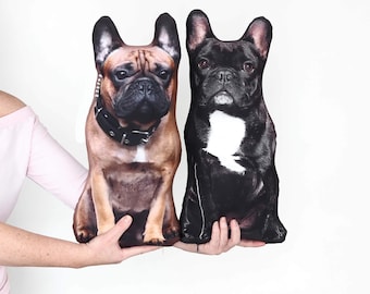 Custom dog & cat pillow from your photo with pet shaped form and personalized going to college or pet memorial gift for pet dog lovers