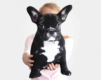 Custom pet shaped pillow from dog & cat photo which is perfect memorial gift for pet lover if the pet passed away or you going to college
