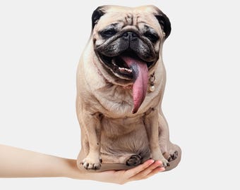Cuscino personalizzato con foto di animali domestici: regalo commemorativo realistico e personalizzato per la perdita di cani e gatti