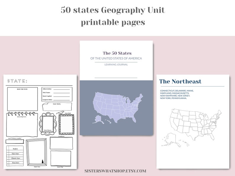 USA 50 states and capitals, USA Geography Research Bundle, geography worksheets, 50 states home school PRINTABLE Digital image 2