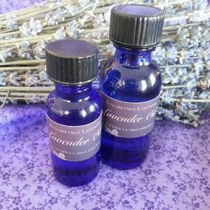 Lavender Essential Oil Lavender angustifolia image 2