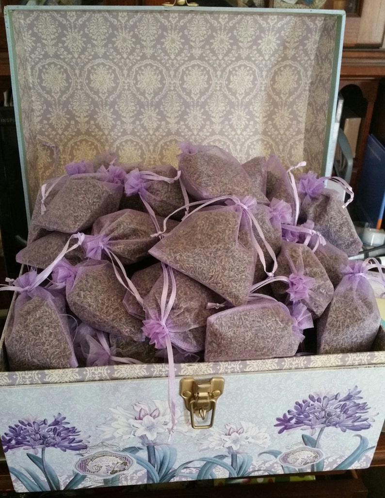 Ten Lavender Sachets image 1