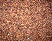Loose grape seeds 1 kilo filling for heat pillows, grain cushions