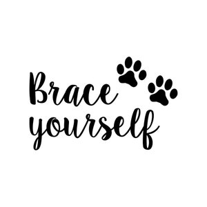 Top 5 Best Brace Yourself Pet Paws Front Door Greeting Decal (Budget-Friendly Options (2026