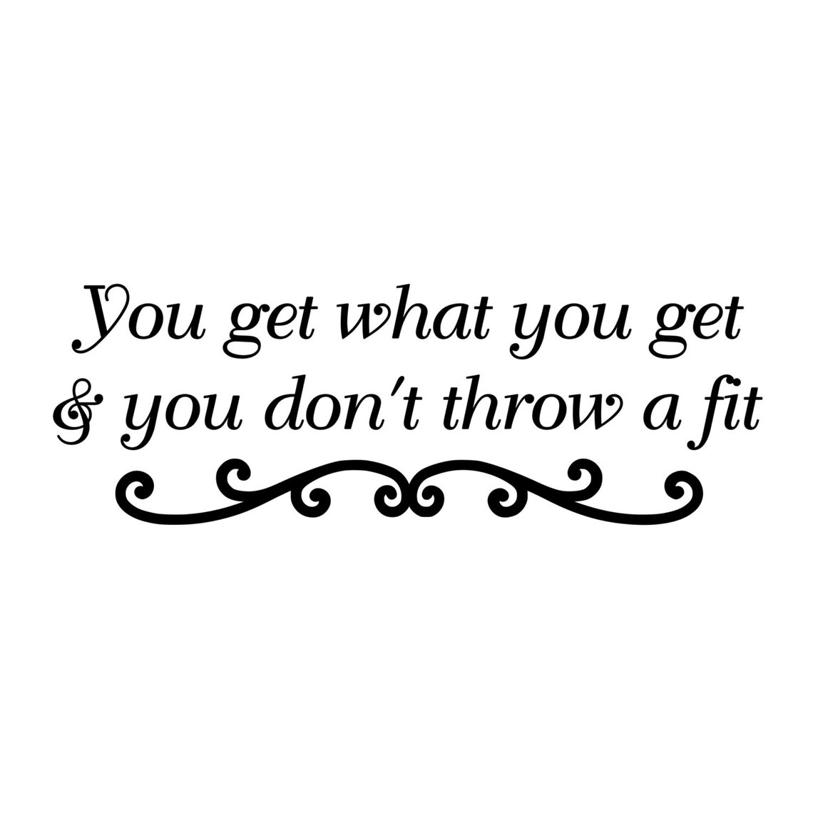 You Get What You Get and You Don't Throw A Fit Vinyl Etsy