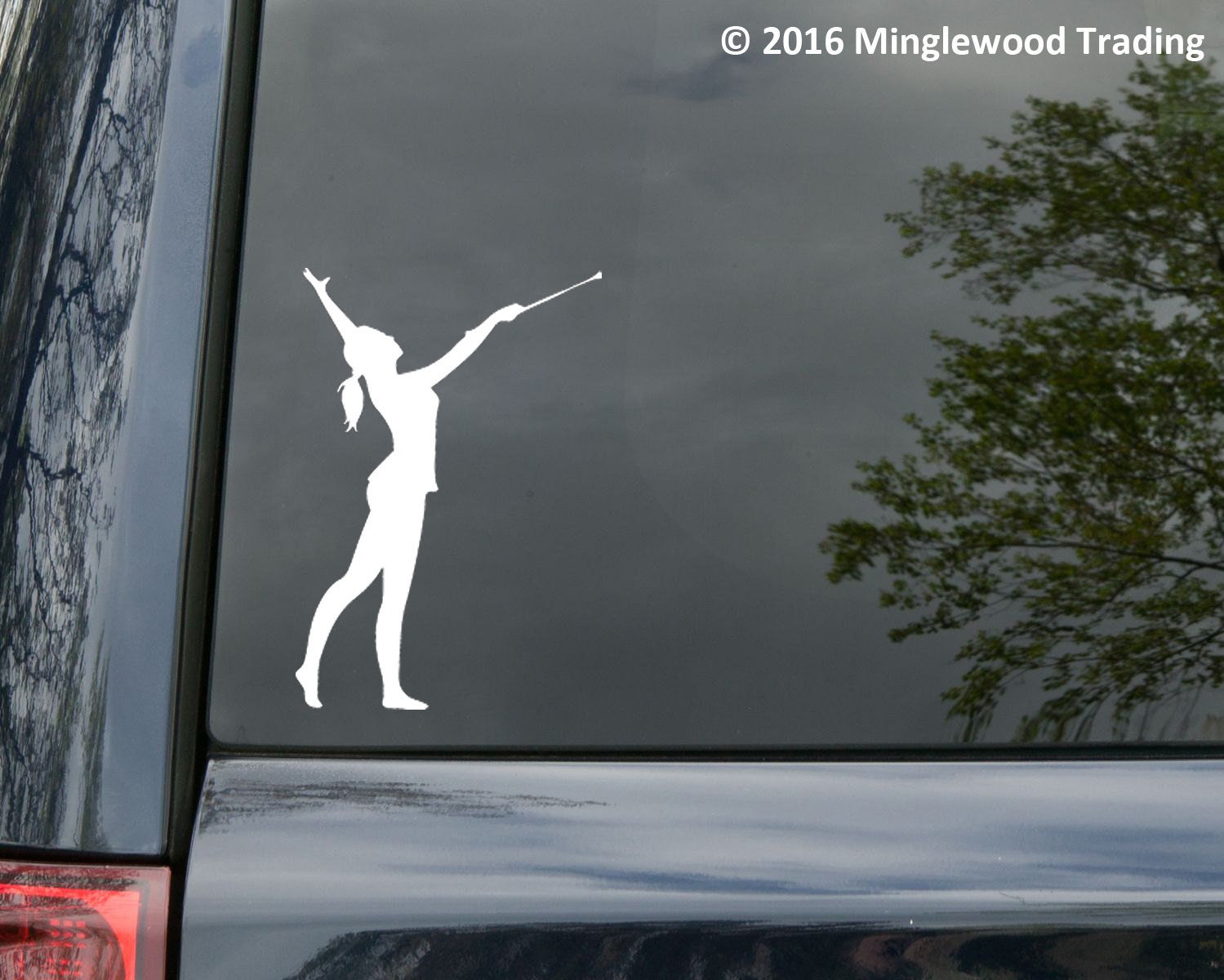 Pretend Play 23 Inch and 20 Inch Vintage Baton Baton Twirling YOUR