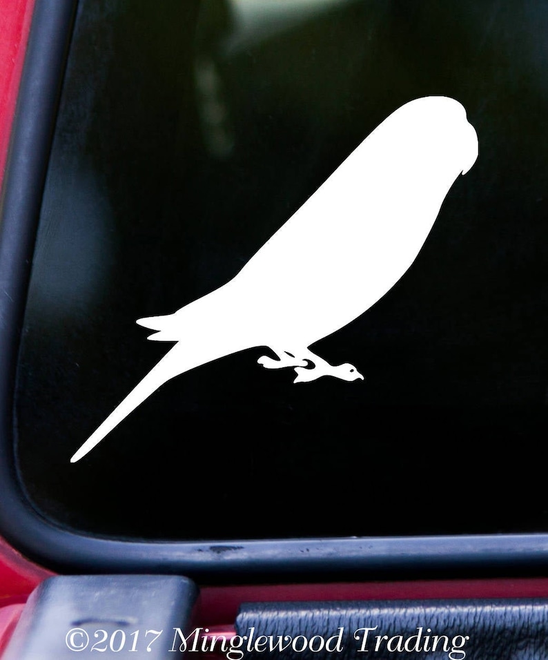BUDGIE Vinyl Decal Sticker Budgerigar Bird Parakeet Parrot - Etsy