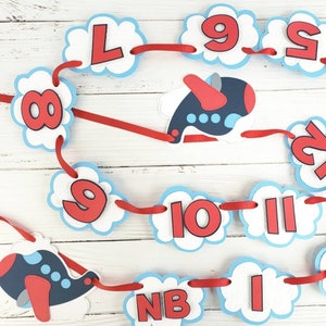 Airplane Photo Banner - Plane Monthly Photo Banner - Milestone Banner - Time Flies