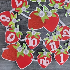 Strawberry Photo Banner: Berry Sweet Birthday Party Decor