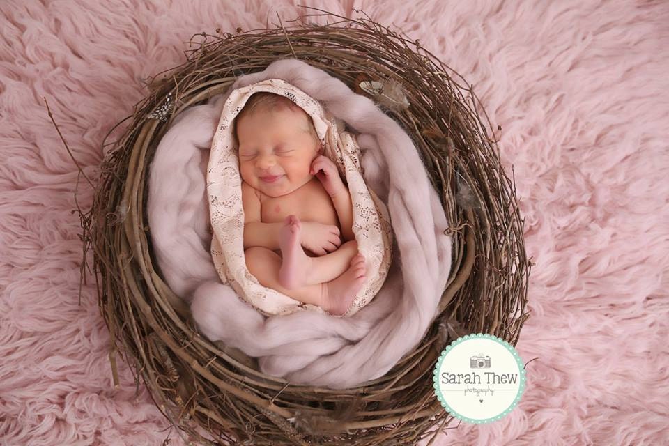 Baby photography prop dusty pink basket filler suffer newborn photography prop Baby photography prop dusty pink basket filler suffer newborn photography prop