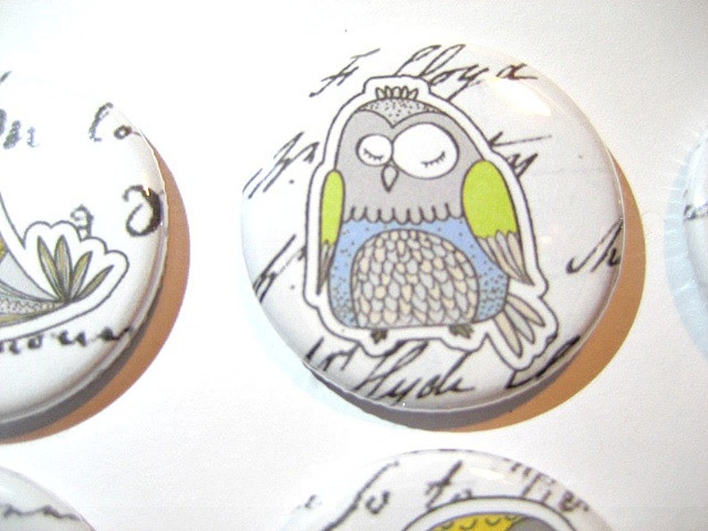 Magnets, Button Magnets, Fridge Magnets, Owl Magnets, 1 1/4 inch, Best friends gift, Hostess Gift, SET OF 6. image 2