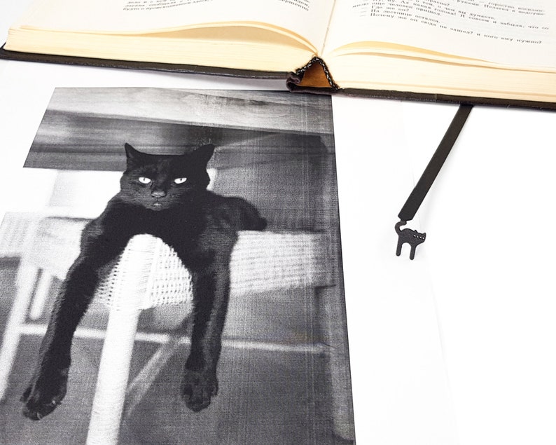 May include: A black and white photograph of a black cat lounging on a chair, with a black metal cat-shaped bookmark next to an open book. The cat is the focal point, with its relaxed posture and intense gaze.