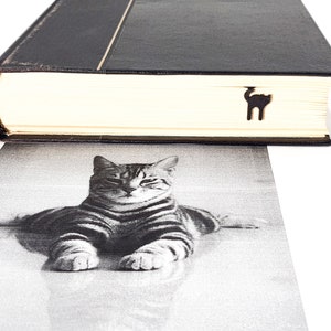 May include: A black book with a gold spine detail and a wooden cat-shaped bookmark. Below the book is a black and white image of a tabby cat lying down. The book's pages are cream-colored.