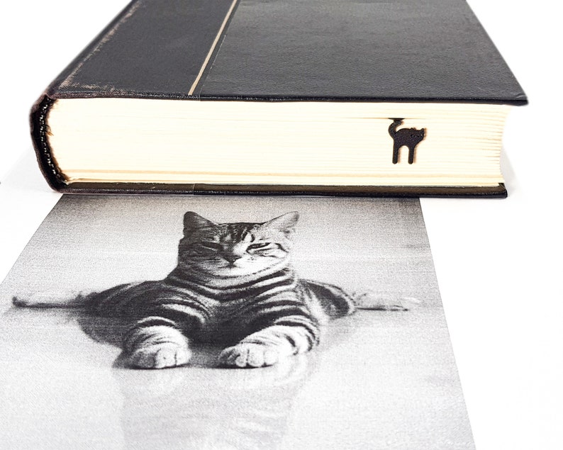 May include: A black book with a gold spine detail and a wooden cat-shaped bookmark. Below the book is a black and white image of a tabby cat lying down. The book's pages are cream-colored.