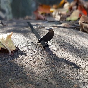 Black metal raven-shaped page saver photographed outdoors among autumn leaves and warm sunlight. A poetic, nature-inspired gift for book lovers with a dark, literary soul.