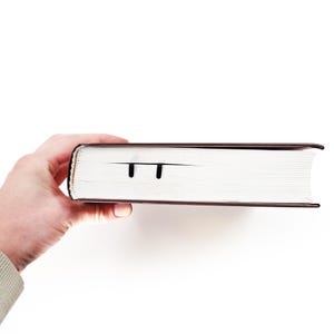 Hand holding a book with tthe Cats on the ladder bookmark.
