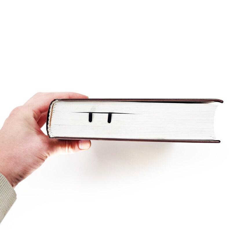 Hand holding a book with tthe Cats on the ladder bookmark.