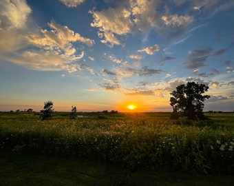 Sunset Photo | Digital Art Print | Digital Download | Printable Art | Prairie Sunset | Wildflower Prairie | Illinois Prairie | Sunset Photo