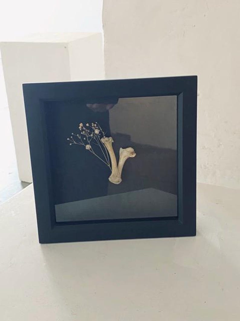 Shadow Box With Two Real Animal Bones & Dried Foliage - Etsy