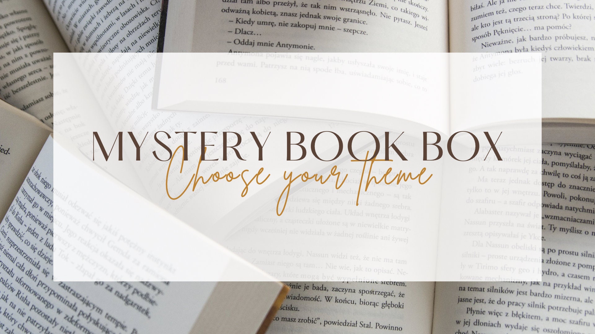 Mystery book box