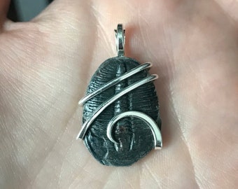 Trilobite fossil in forged sterling silver pendant