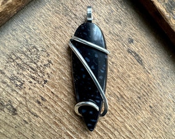 Agate fossil in sterling silver pendant