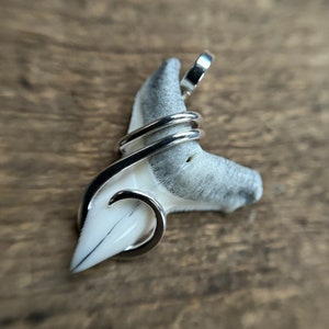 Fossilized shark tooth in sterling silver pendant