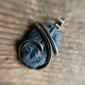 Trilobite fossil in 14k gold pendant