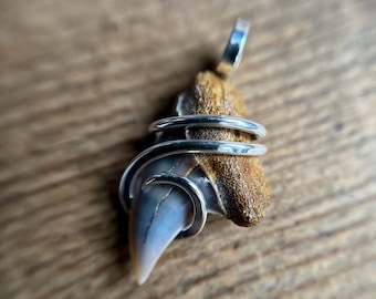 Fossilized shark tooth in sterling silver pendant