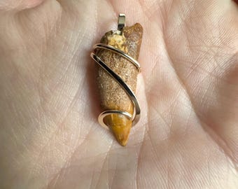 Dinosaur Tooth in 14k Gold Pendant - Etsy